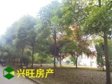 【免稅房】 廣匯花園 雷池路 舒巷小學(xué) 十六中學(xué)區(qū) 毛坯